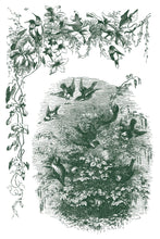 Load image into Gallery viewer, Little Lark Paint 8x12 Inlay by IOD *Limited Release
