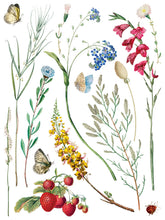 Load image into Gallery viewer, Marche' des Fleurs Rub on Transfer Set by IOD
