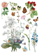 Load image into Gallery viewer, Marche' des Fleurs Rub on Transfer Set by IOD
