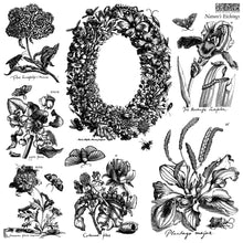 Load image into Gallery viewer, Natures Etchings Stamp Set by Iron Orchid Designs
