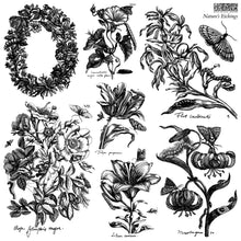 Load image into Gallery viewer, Natures Etchings Stamp Set by Iron Orchid Designs
