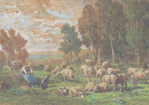 Pastoral Sheep 8x11 Decoupage Paper by JRV