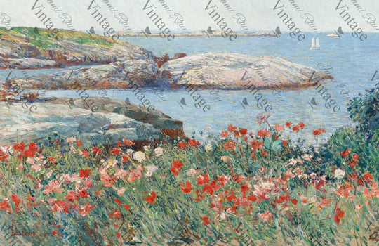 Poppies on the Beach~ 23x15 Rice Decoupage Paper by JRV