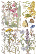 Load image into Gallery viewer, Primrose Isle Rub on Transfers 8x12 by IOD
