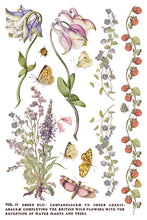Load image into Gallery viewer, Primrose Isle Rub on Transfers 8x12 by IOD
