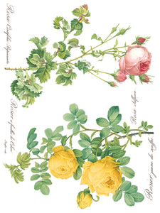 Rose Botanical Transfer Set