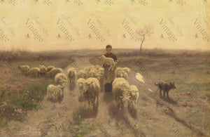 Sheep at Sunset~ 23x15 Rice Decoupage Paper by JRV