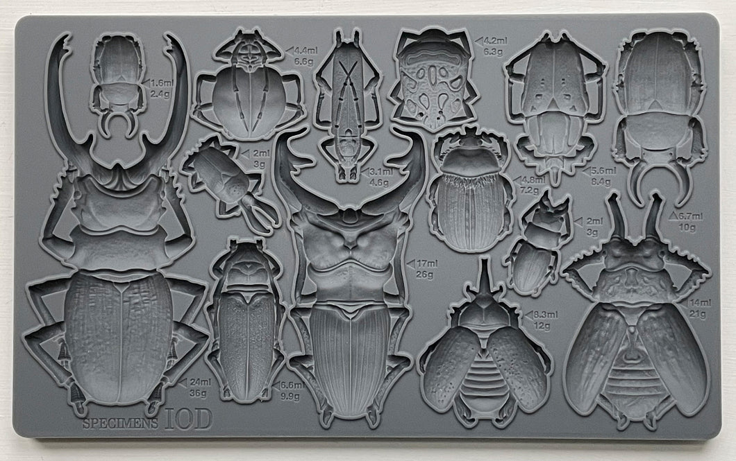 Specimens Decor Mould