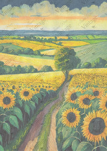 Sunflower Fields 8x11 Decoupage Paper by JRV