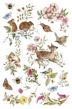 Load image into Gallery viewer, The Bramblewood Diaries Transfer Set 8x12

