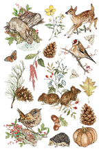 Load image into Gallery viewer, The Bramblewood Diaries Transfer Set 8x12

