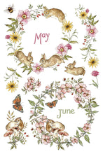 Load image into Gallery viewer, The Bramblewood Diaries Transfer Set 8x12
