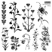 Load image into Gallery viewer, The Connoisseur's Library Stamp Set 6x6 by IOD
