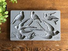 Birdsong Decor Mould