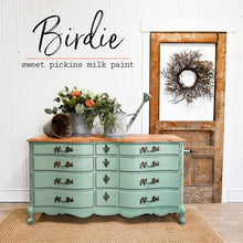 Load image into Gallery viewer, Birdie ~Sweet Pickins Milk Paint
