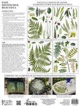 Load image into Gallery viewer, Fronds Botanical Decor Transfer Set
