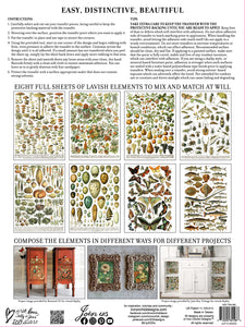 Millot's Pages Decor Transfers Set