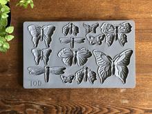 Monarch Decor Mould