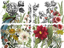 Load image into Gallery viewer, Midnight Garden Decor Transfers
