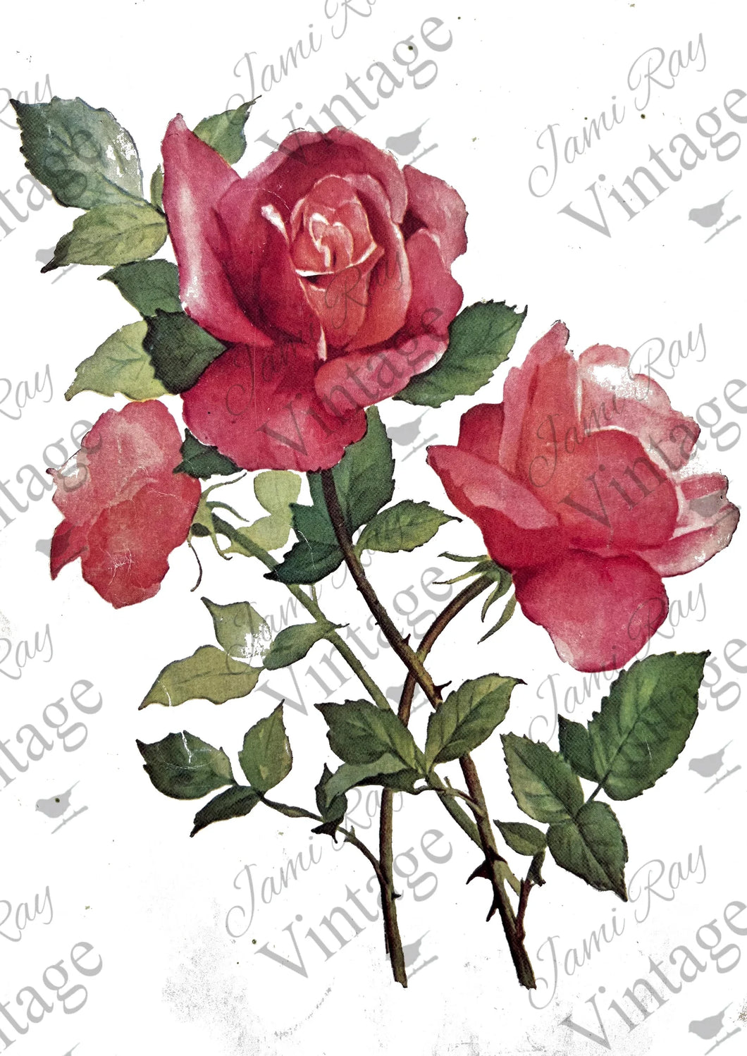 Roses 8x11 Decoupage Paper by JRV